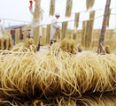 公司简介